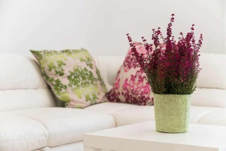 Mediterranean House Nettuno Apartment Ngoại thất bức ảnh